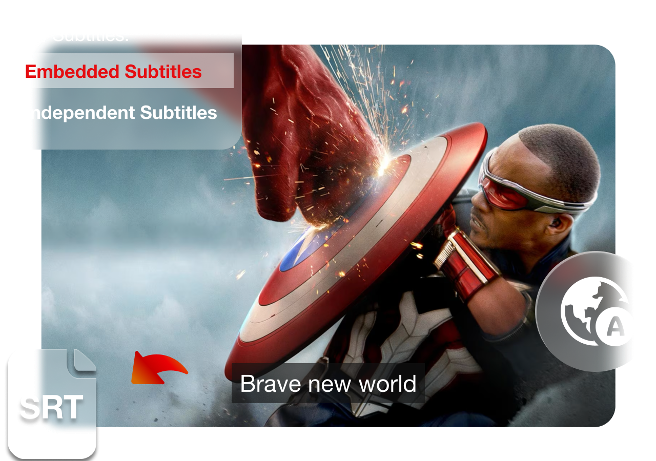 download multilingual audio tracks and subtitles