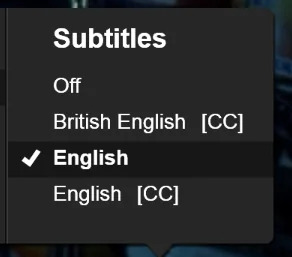 both english and english cc subtitle on netflix