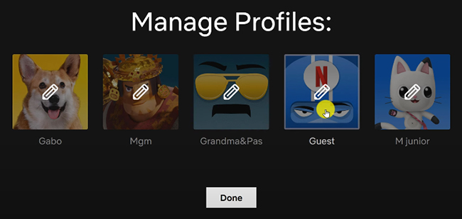 choose netflix profile web browser