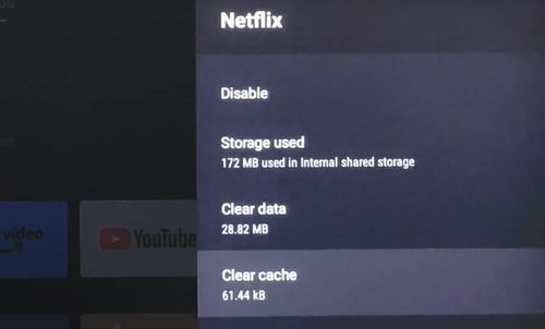 clear cache and data of netflix on tv