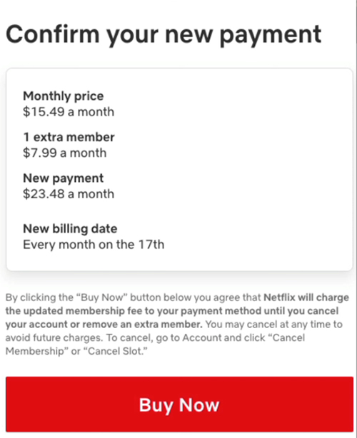 confirm add netflix extra member