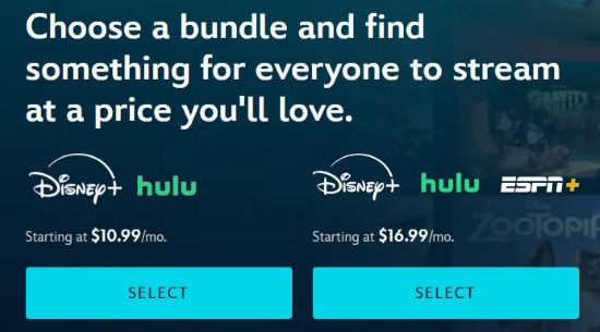 disney plus bundle home page