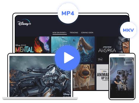 dispcam disney plus video downloader
