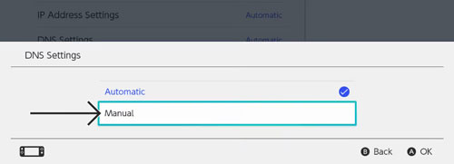 dns settings on nintendo