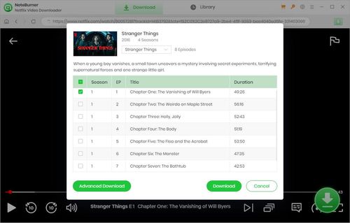 download netflix videos with noteburner netflix video downloader