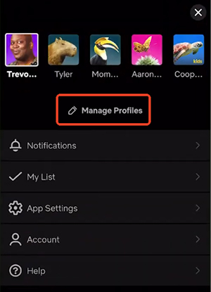 manage netflix profile mobile