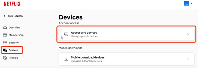 netflix access and devices