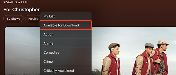 netflix available for download on ipad