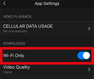 netflix download wifi only settings