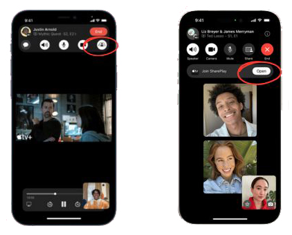 screen share netflix alternative on facetime