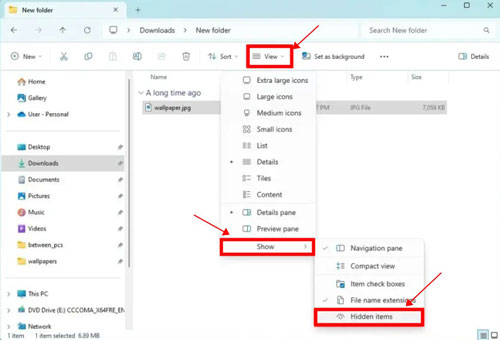 show hidden items windows 11 file explorer