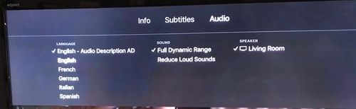 turn off netflix audio description on apple tv