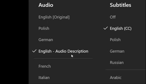 turn off netflix audio description while playback