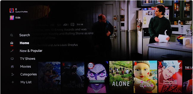 watch netflix on roku tv