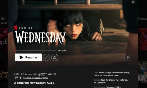 wednesday netflix entry